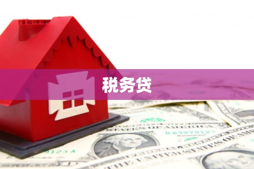 柳林税务贷