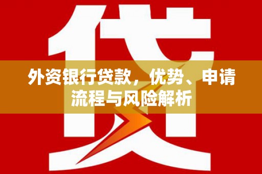 柳林外资银行贷款，优势、申请流程与风险解析