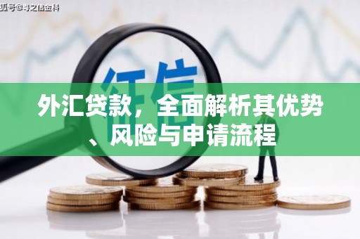 柳林外汇贷款，全面解析其优势、风险与申请流程