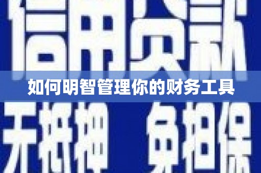 柳林如何明智管理你的财务工具