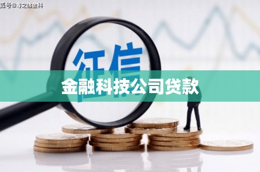 柳林金融科技公司贷款
