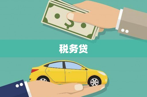 柳林税务贷