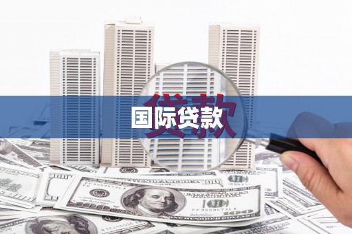 柳林国际贷款