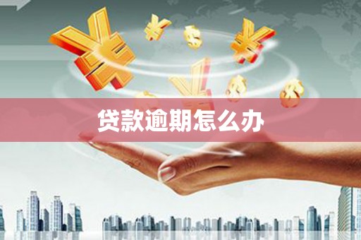 柳林贷款逾期怎么办
