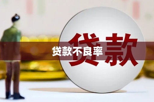 柳林贷款不良率