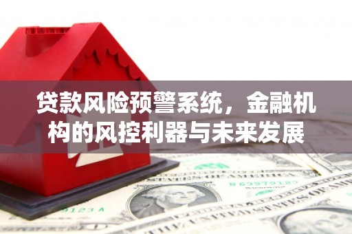 柳林贷款风险预警系统，金融机构的风控利器与未来发展