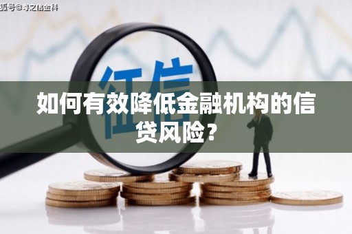 柳林如何有效降低金融机构的信贷风险？