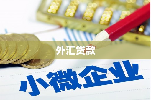 柳林外汇贷款