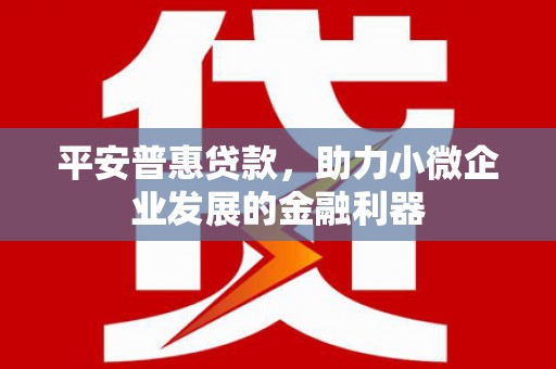 柳林平安普惠贷款，助力小微企业发展的金融利器