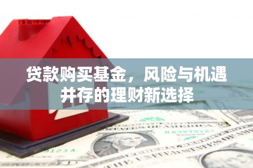 柳林贷款购买基金，风险与机遇并存的理财新选择