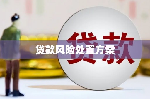 柳林贷款风险处置方案