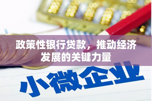 柳林政策性银行贷款，推动经济发展的关键力量