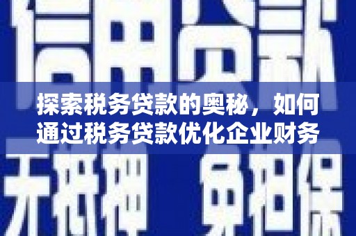 柳林探索税务贷款的奥秘，如何通过税务贷款优化企业财务