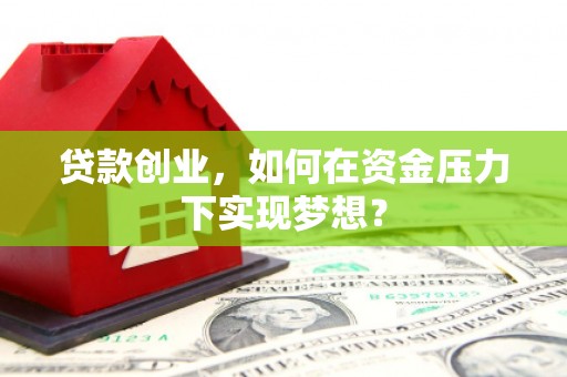 柳林贷款创业，如何在资金压力下实现梦想？