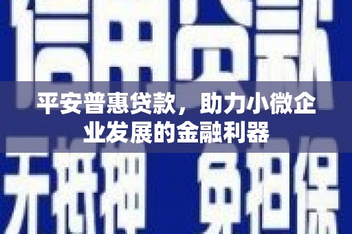 柳林平安普惠贷款，助力小微企业发展的金融利器