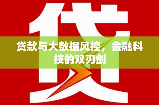 柳林贷款与大数据风控，金融科技的双刃剑