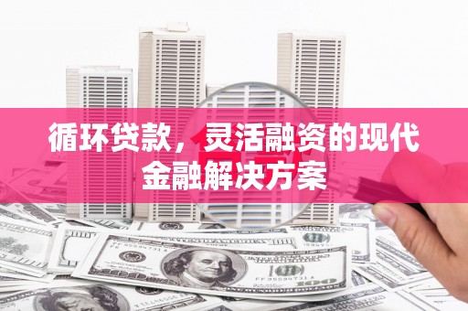 柳林循环贷款，灵活融资的现代金融解决方案