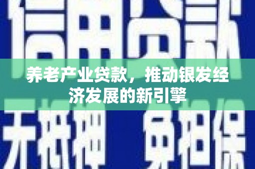 柳林养老产业贷款，推动银发经济发展的新引擎