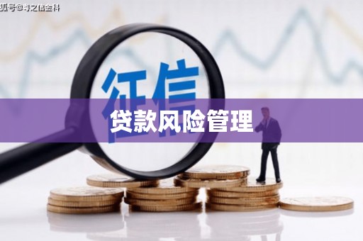 柳林贷款风险管理
