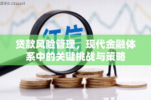 柳林贷款风险管理，现代金融体系中的关键挑战与策略