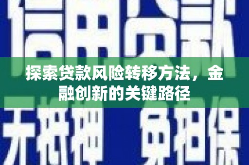 柳林探索贷款风险转移方法，金融创新的关键路径