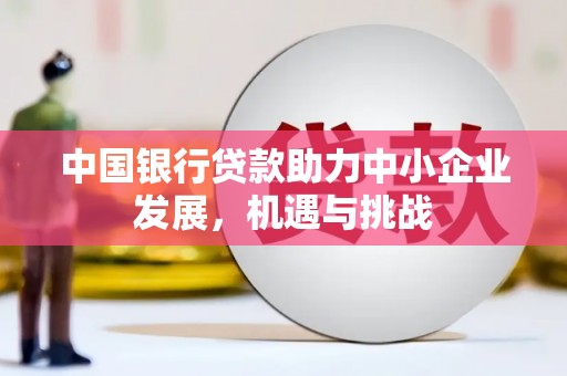 柳林中国银行贷款助力中小企业发展，机遇与挑战