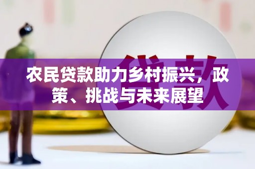 柳林农民贷款助力乡村振兴，政策、挑战与未来展望