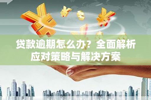 柳林贷款逾期怎么办？全面解析应对策略与解决方案