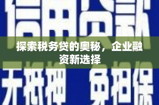 柳林探索税务贷的奥秘，企业融资新选择