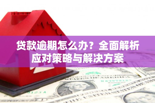 柳林贷款逾期怎么办？全面解析应对策略与解决方案