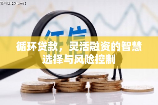 柳林循环贷款，灵活融资的智慧选择与风险控制