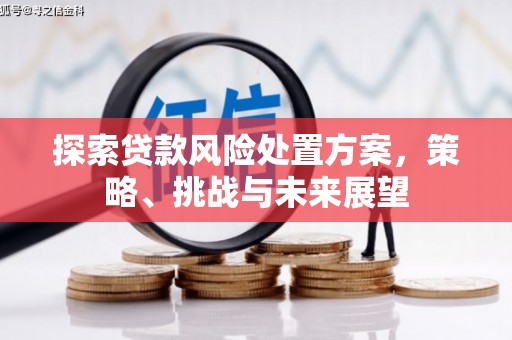 柳林探索贷款风险处置方案，策略、挑战与未来展望