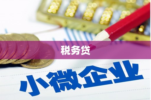柳林税务贷