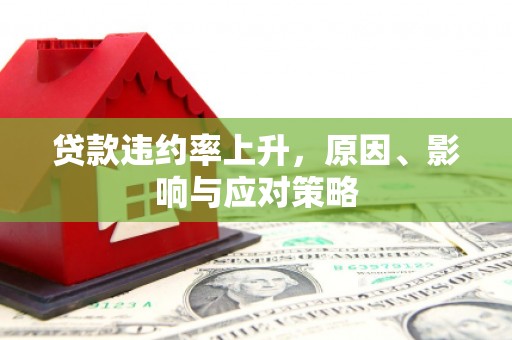 柳林贷款违约率上升，原因、影响与应对策略