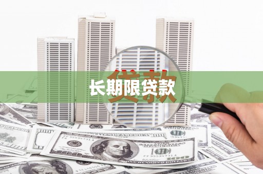 柳林长期限贷款