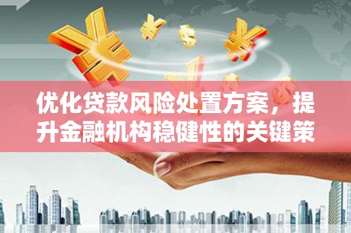 柳林优化贷款风险处置方案，提升金融机构稳健性的关键策略