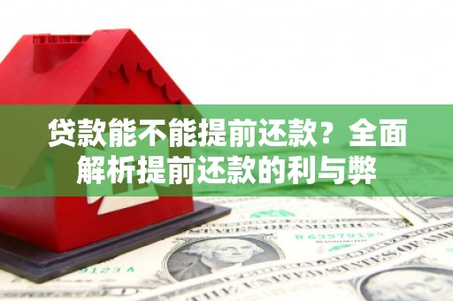 柳林贷款能不能提前还款？全面解析提前还款的利与弊