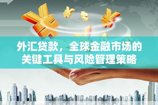 柳林外汇贷款，全球金融市场的关键工具与风险管理策略