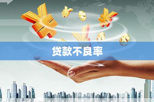 柳林贷款不良率