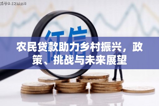 柳林农民贷款助力乡村振兴，政策、挑战与未来展望