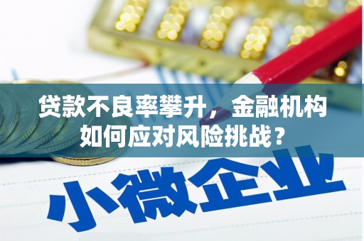 柳林贷款不良率攀升，金融机构如何应对风险挑战？