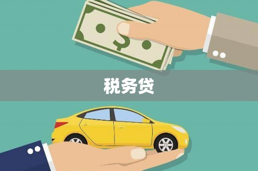 柳林税务贷