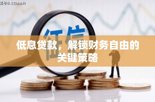 柳林低息贷款，解锁财务自由的关键策略