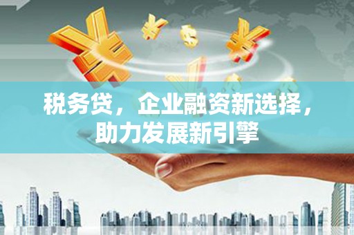 柳林税务贷，企业融资新选择，助力发展新引擎