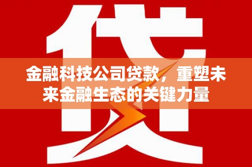 柳林金融科技公司贷款，重塑未来金融生态的关键力量