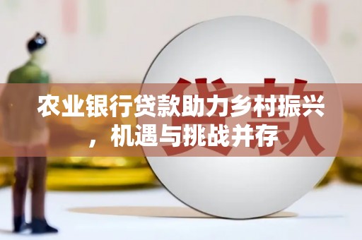 柳林农业银行贷款助力乡村振兴，机遇与挑战并存