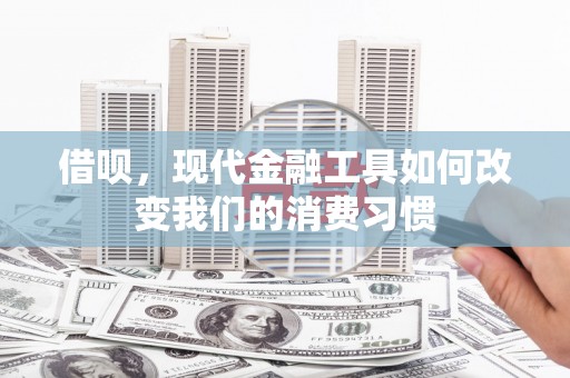 柳林借呗，现代金融工具如何改变我们的消费习惯