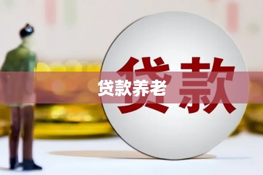 柳林贷款养老