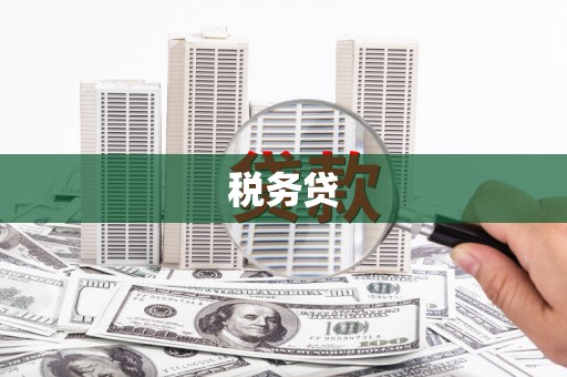 柳林税务贷