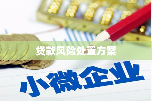 柳林贷款风险处置方案